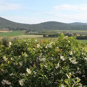 Podere Montenero Appartamento Alberese